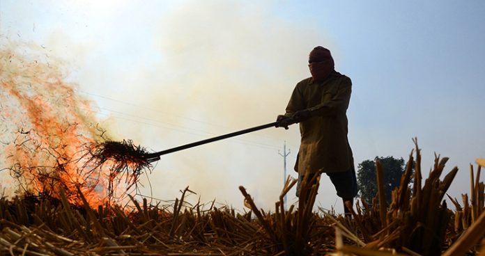 uttar pradesh to impose fine for stubble burning