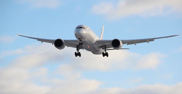 domestic air traffic continues growth, oct traffic records 26.95% rise