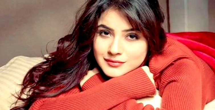 shehnaaz gill