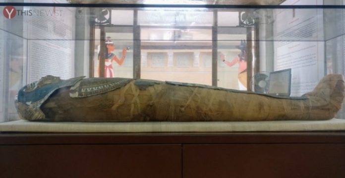 Get a look at an Egyptian mummy in Hyderabad for only Rs 10