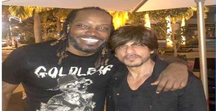gayle and srk