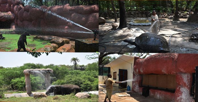 hyderabad zoo installs coolers, sprinklers to protect animals from heat