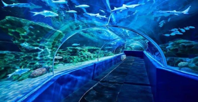 Telangana Eco Park to have 'India's largest' aquarium, aviary