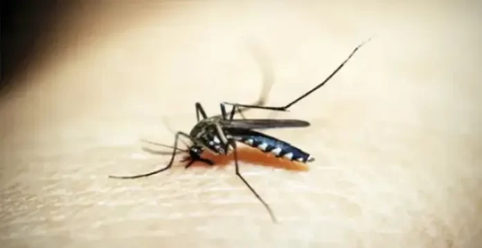 Telangana witnesses gradual decline in malaria cases