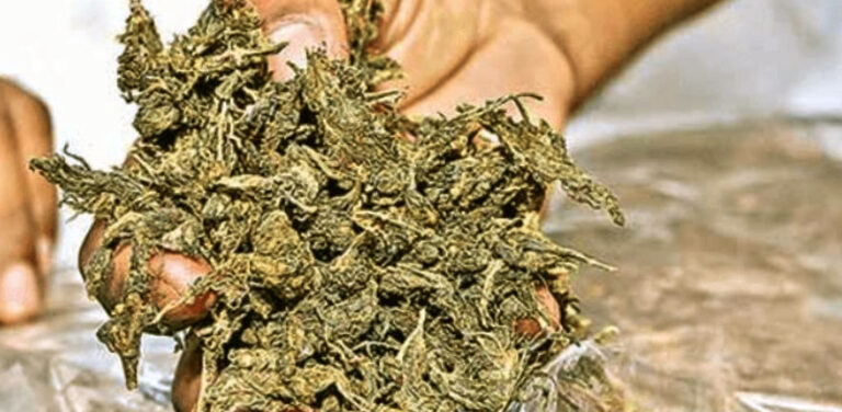Telangana Government Enhances TSNAB Incentives for Anti-Drug Measures