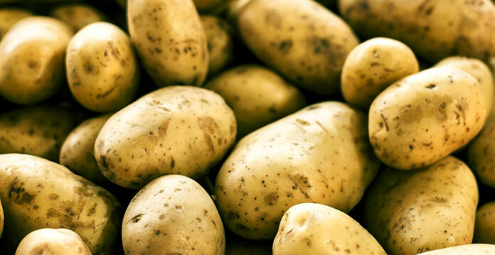 potatoes