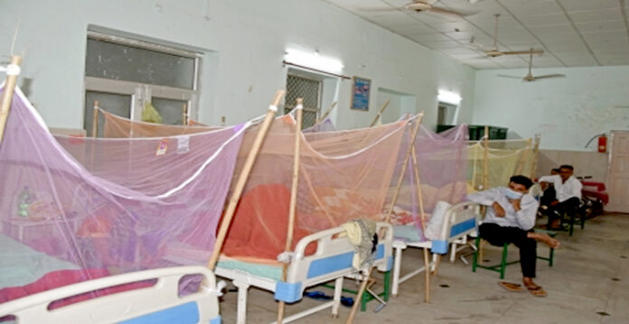 dengue