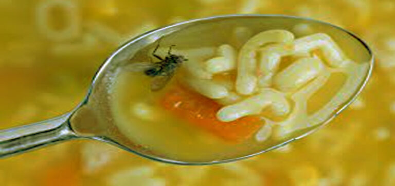 food contamination