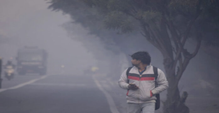 Telangana Faces Intense Cold Wave with Dense Fog: IMD Issues Advisory