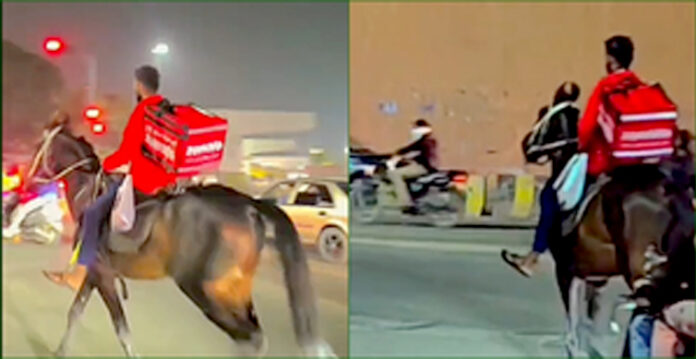 horse