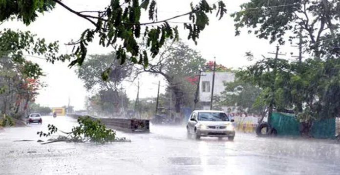 rain