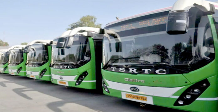 buses