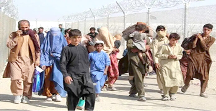 afghan refugees