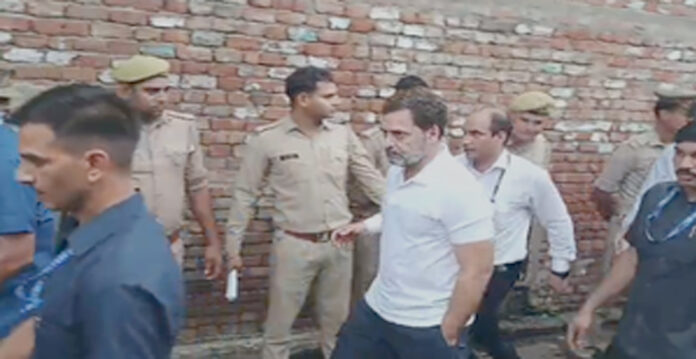 rahul gandi stampede