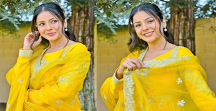 shehnaaz gill