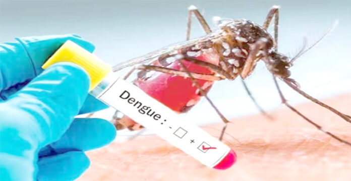 dengue hyderabad