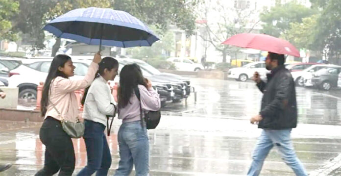 rain in telangana