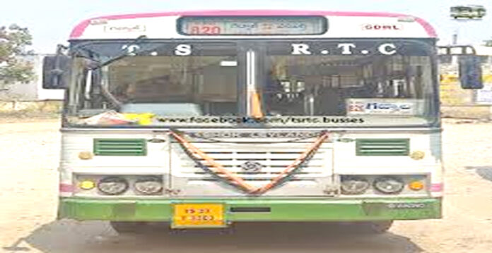 bus