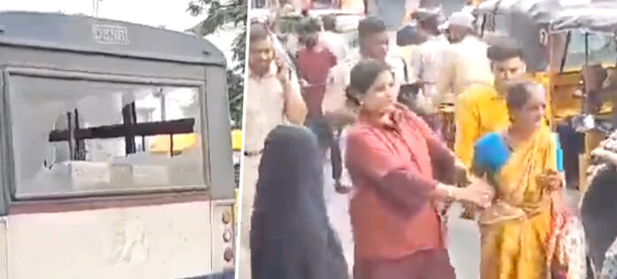 bus snake