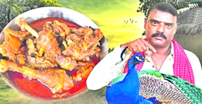 peacock curry