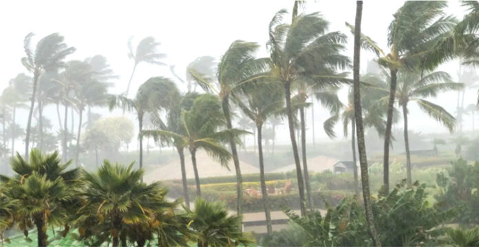 dana cyclone