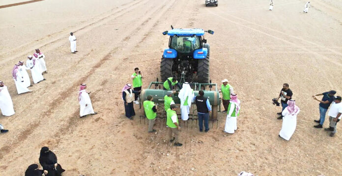 vegetable in madina