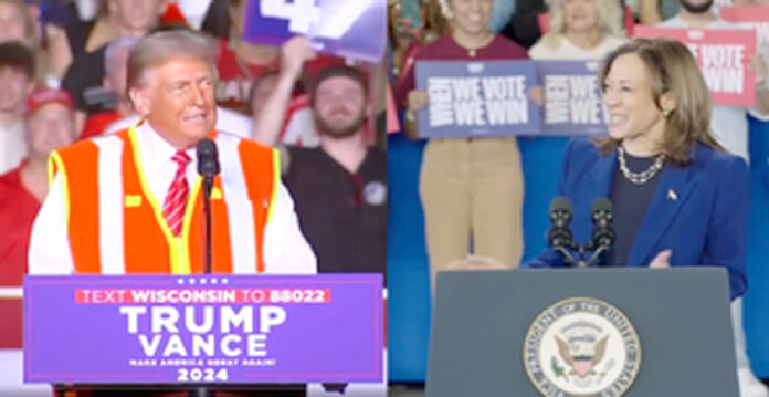 trump vs harris