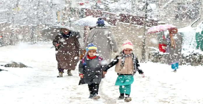 kashmir