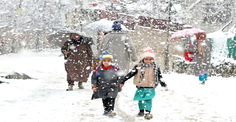 kashmir