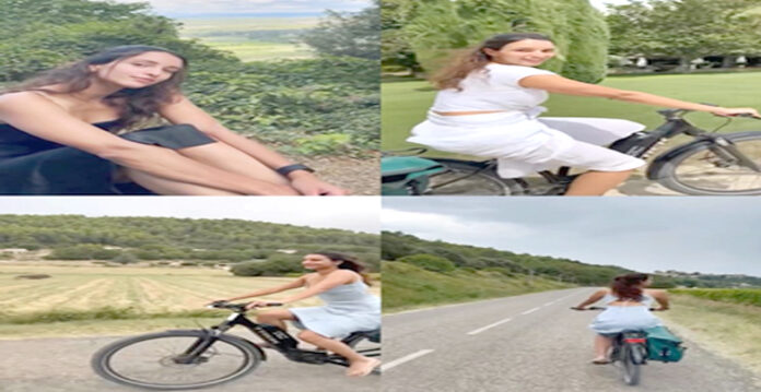 triptii dimri