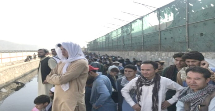 afghanistani in america
