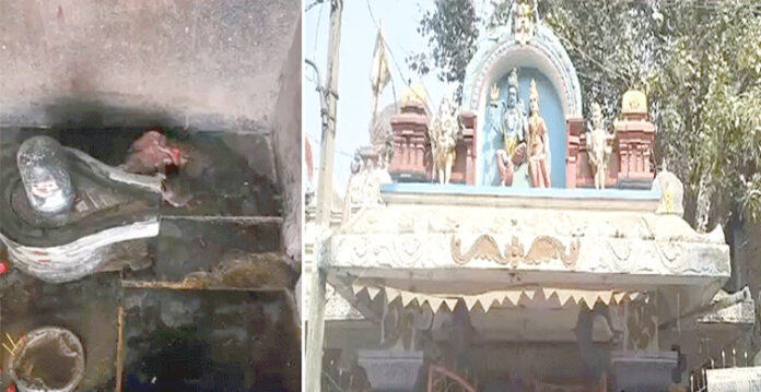 meat in temple