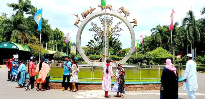 zoo