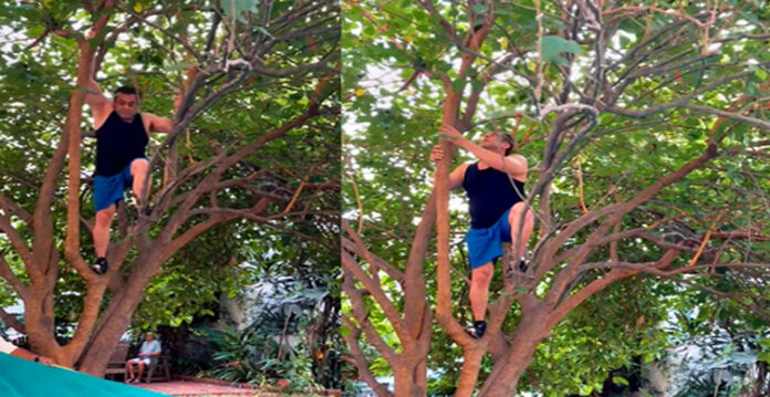 salman khan climbs tree