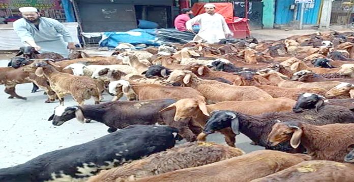 bakrid 2025