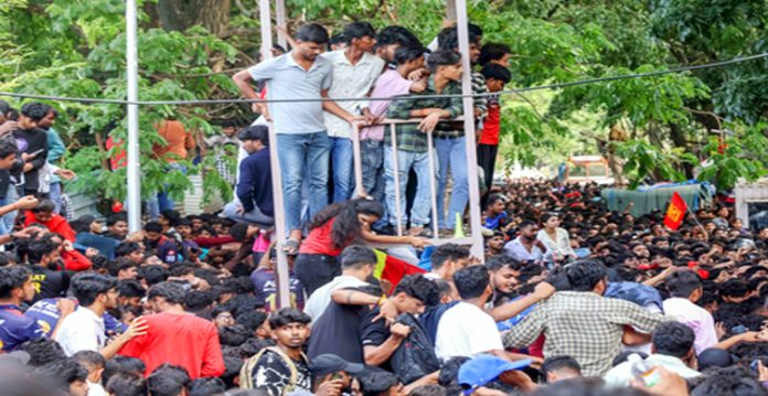 rcb stampede
