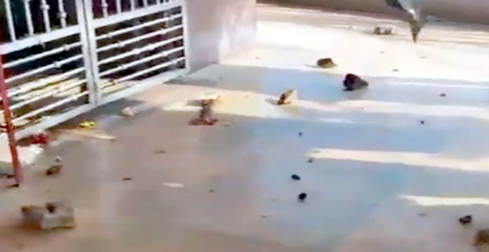 stone pelting