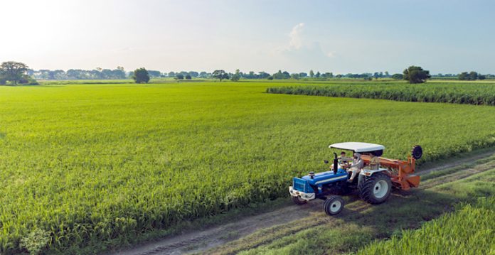 agriculture